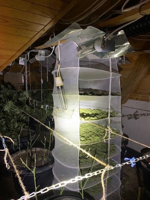 Twee verdachten verwezen naar correctionele rechtbank voor cannabisplantage in Herentals ontdekt via anonieme melding